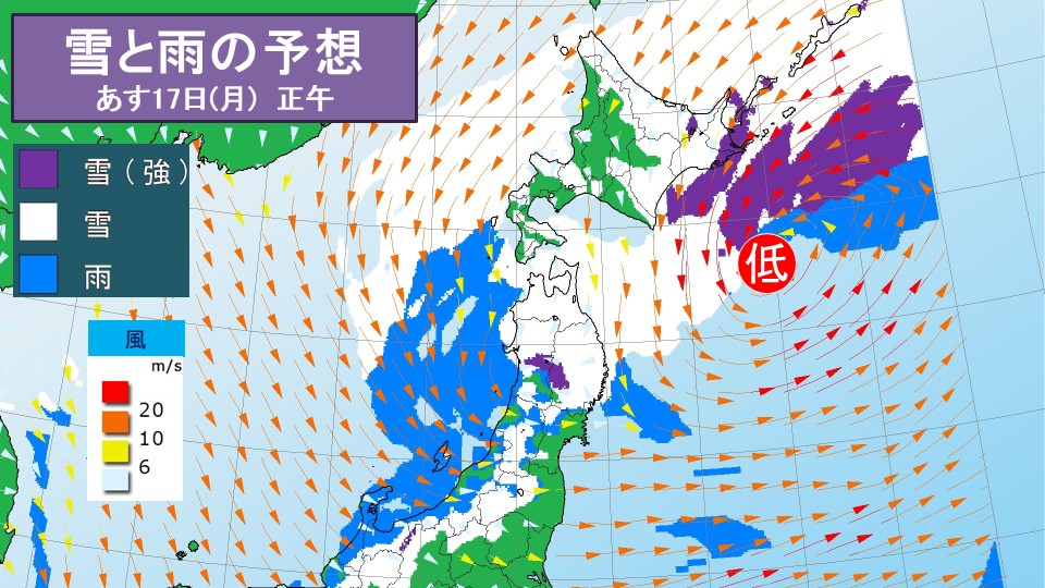 TOPICS摜