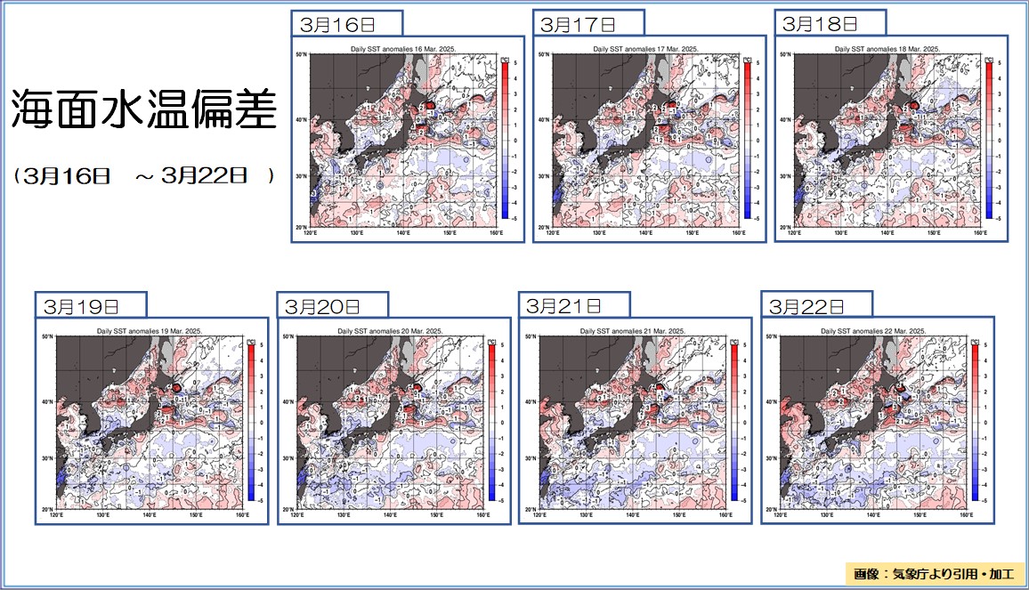 TOPICS摜
