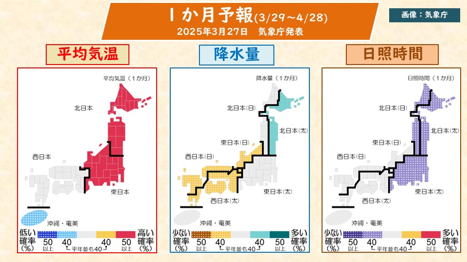 TOPICS摜