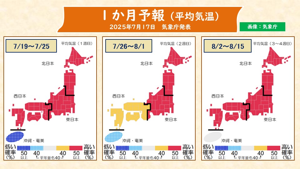 TOPICS摜