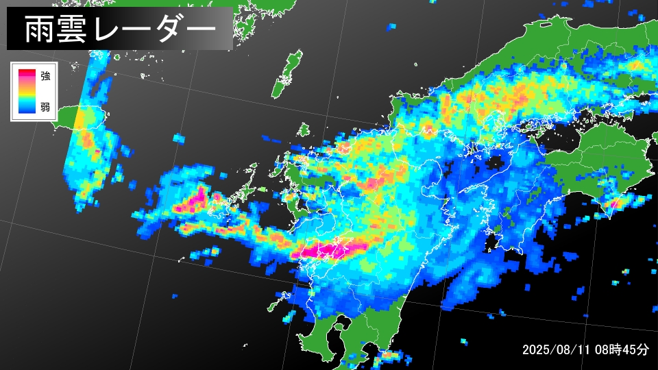 TOPICS摜