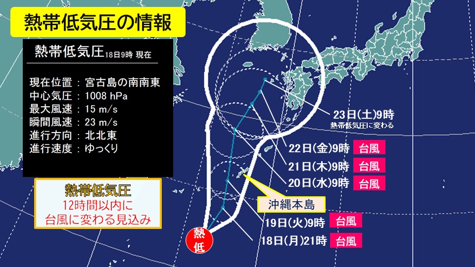 TOPICS摜