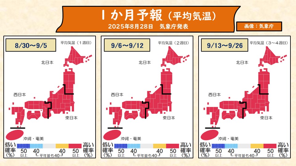 TOPICS摜