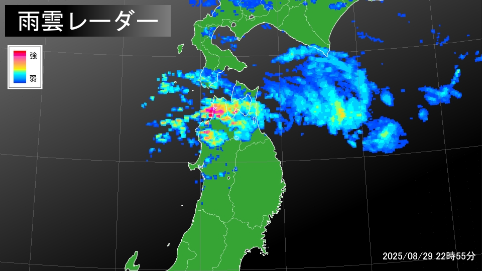 TOPICS摜