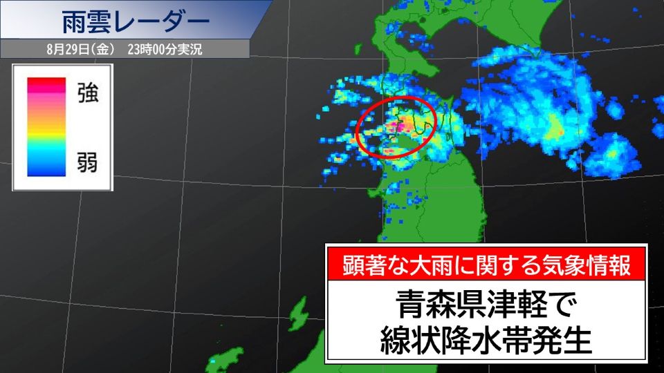 TOPICS摜