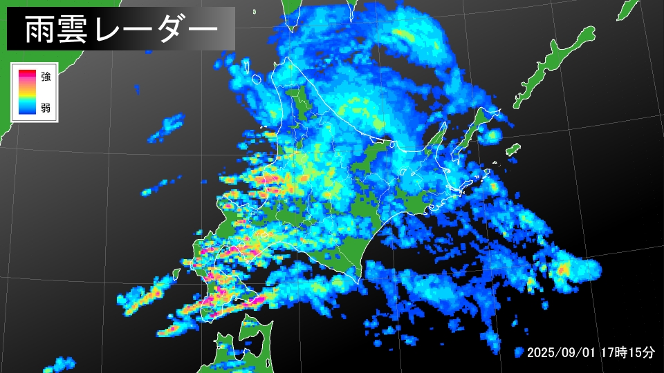 TOPICS摜