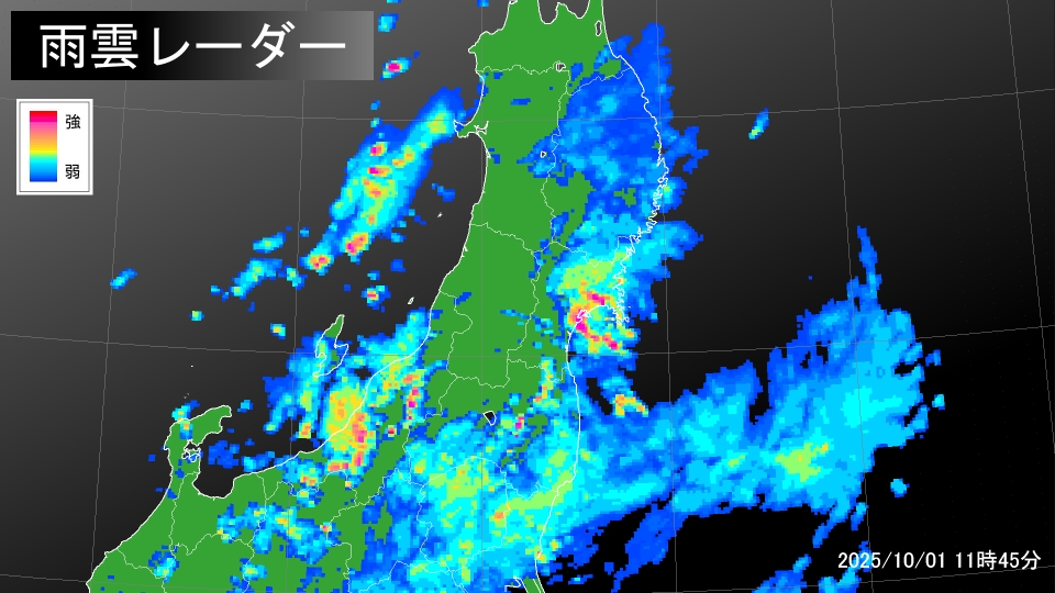 TOPICS摜