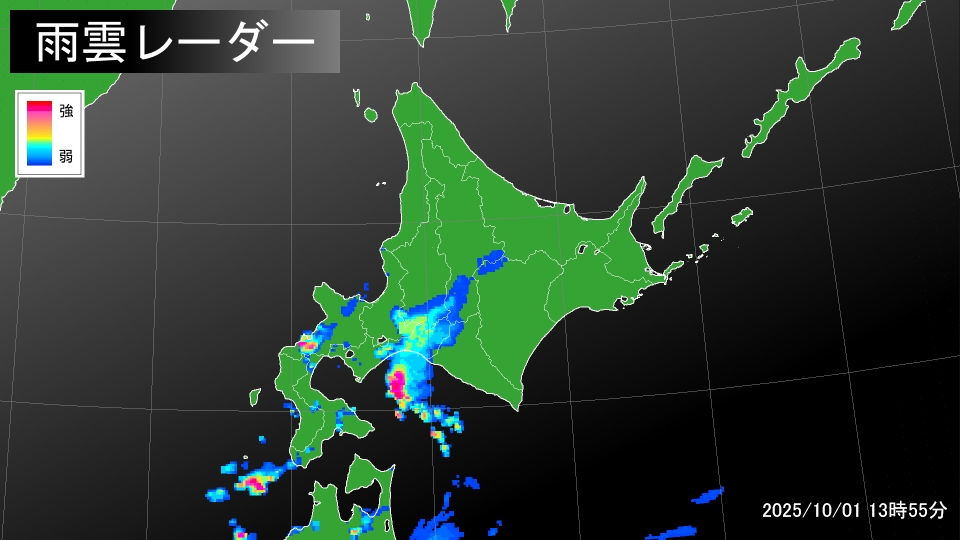 TOPICS摜