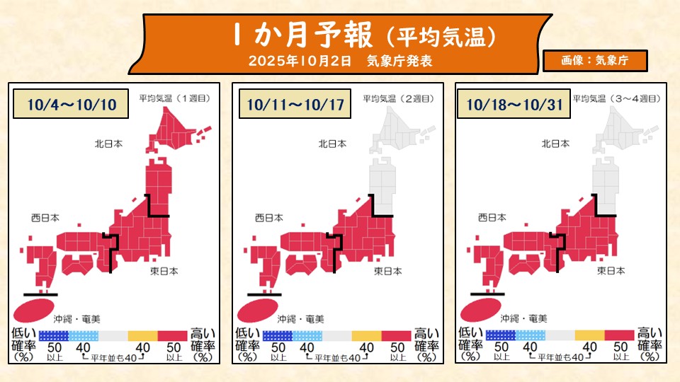 TOPICS摜