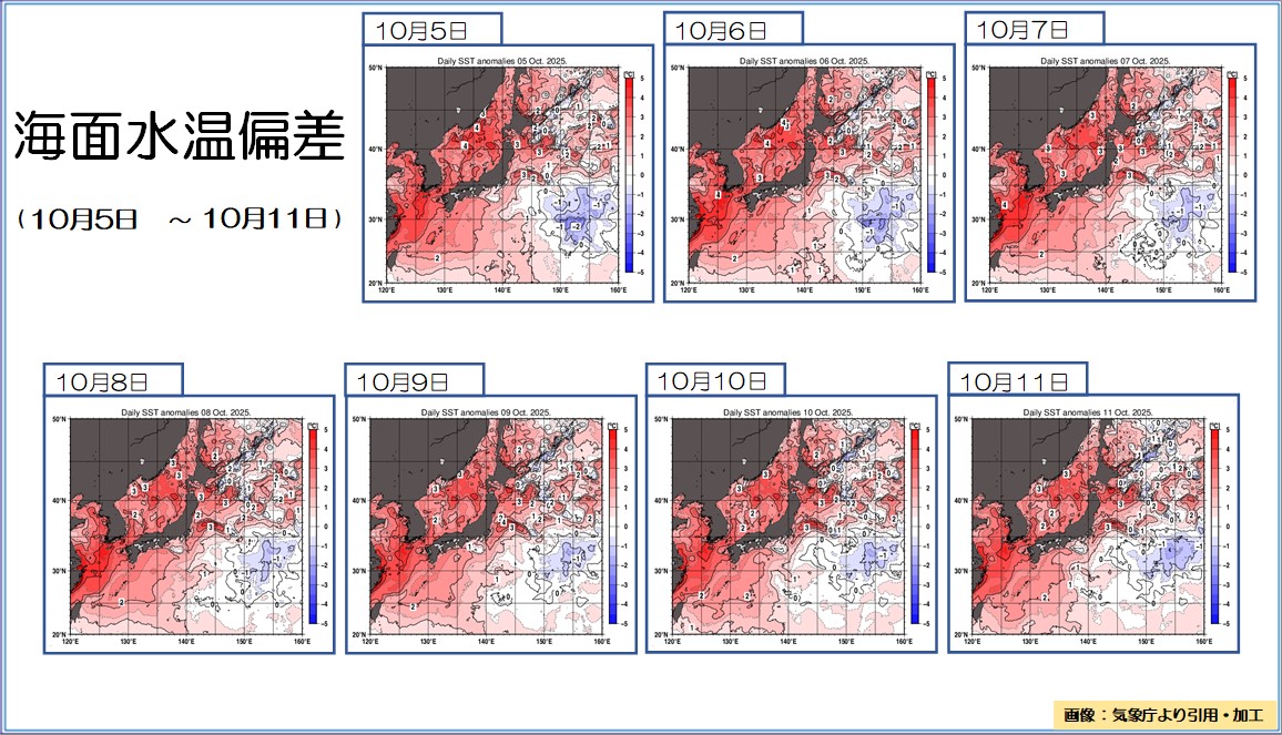 TOPICS摜