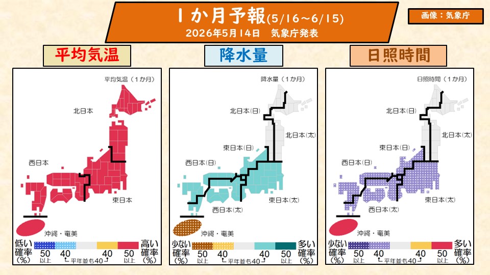 �摜