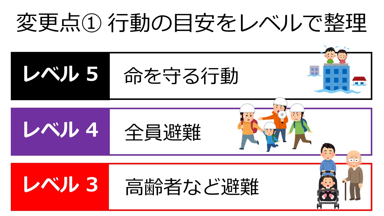 �摜