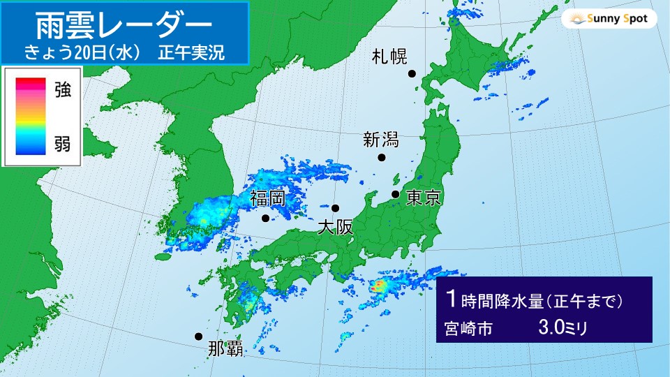 �摜