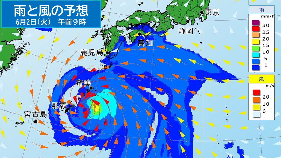 �摜