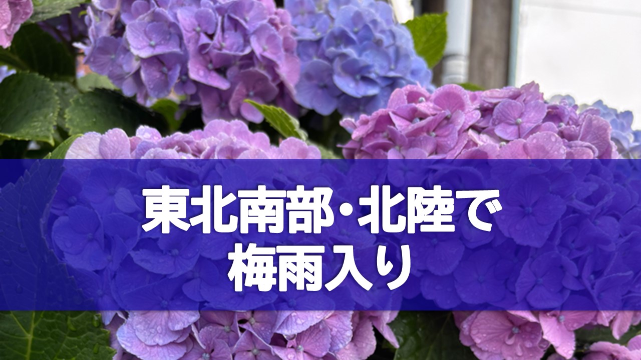 TOPICS�摜