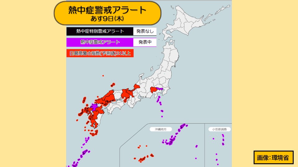 �摜