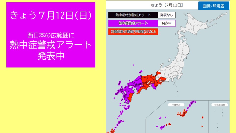 �摜