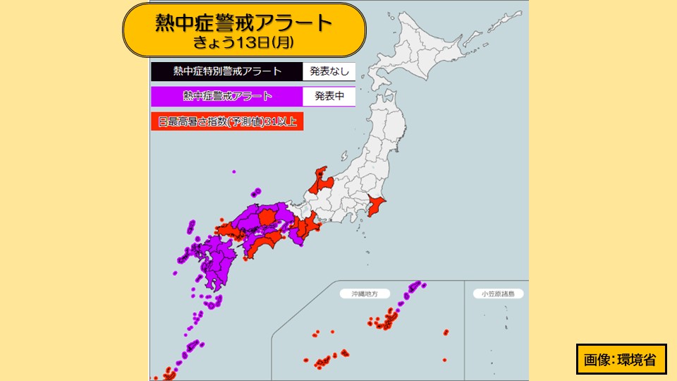 �摜
