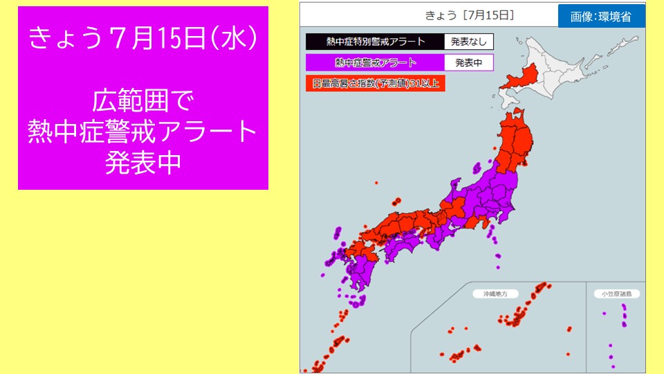 �摜