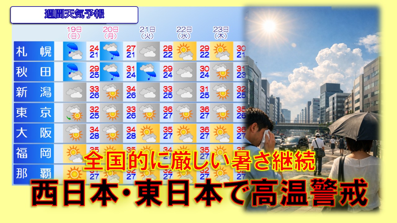 トップページ