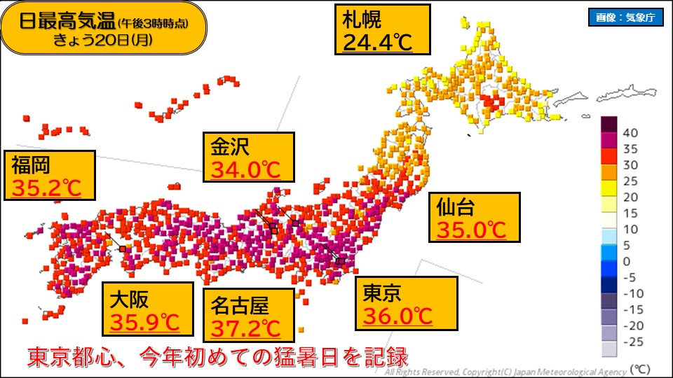 トップページ