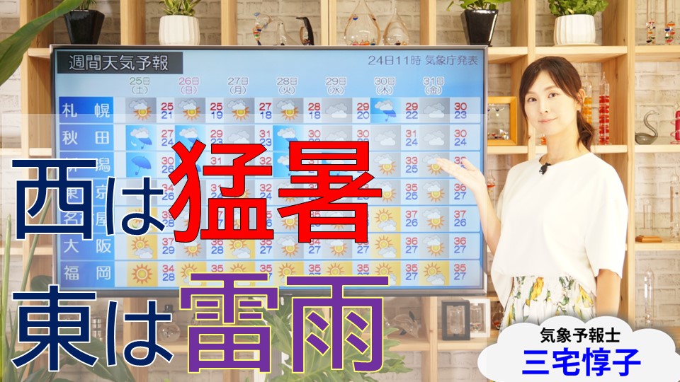 トップページ