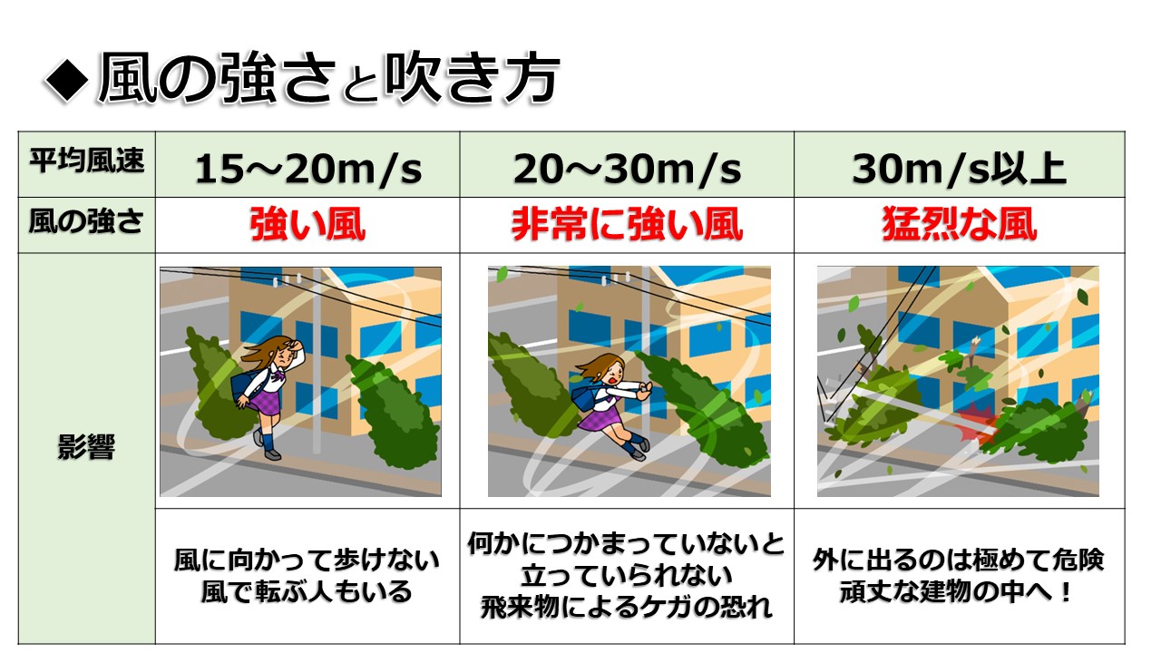 �摜