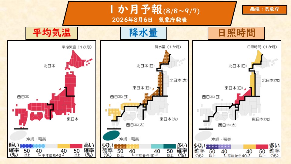 トップページ