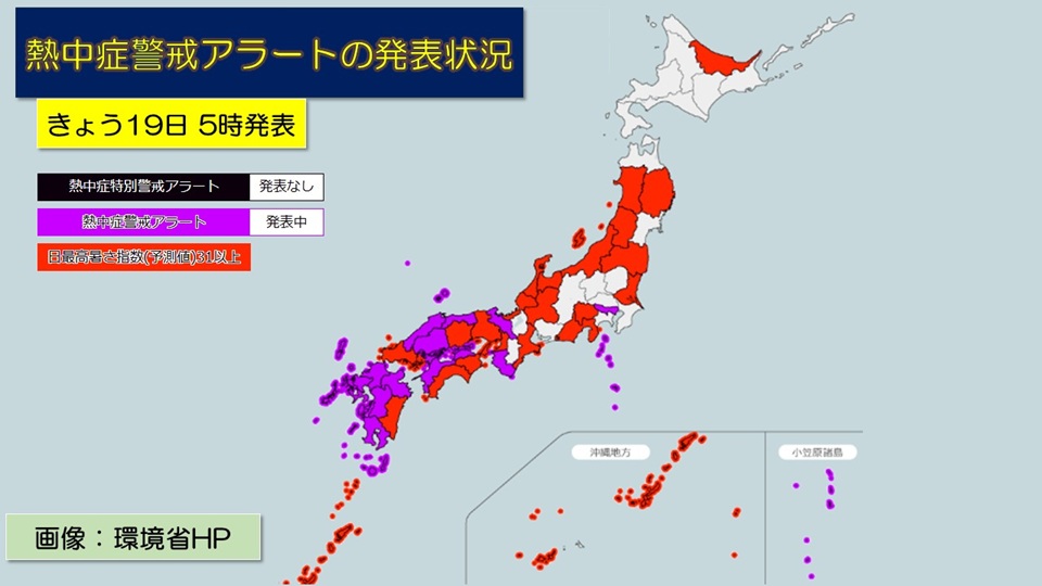 �摜