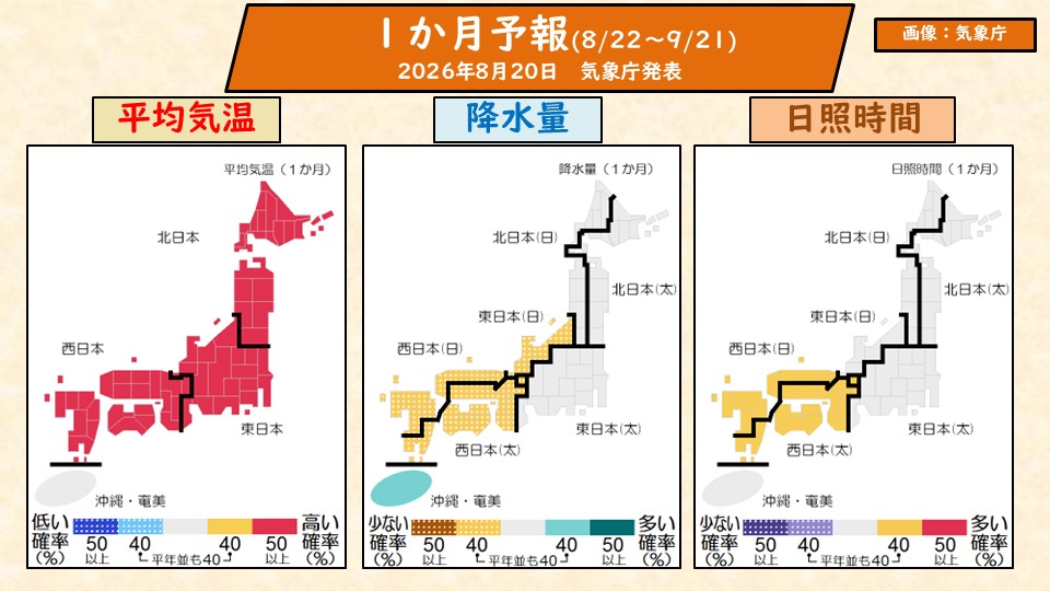 トップページ
