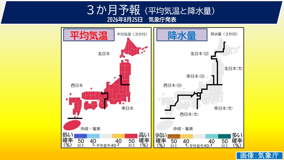 TOPICS画像