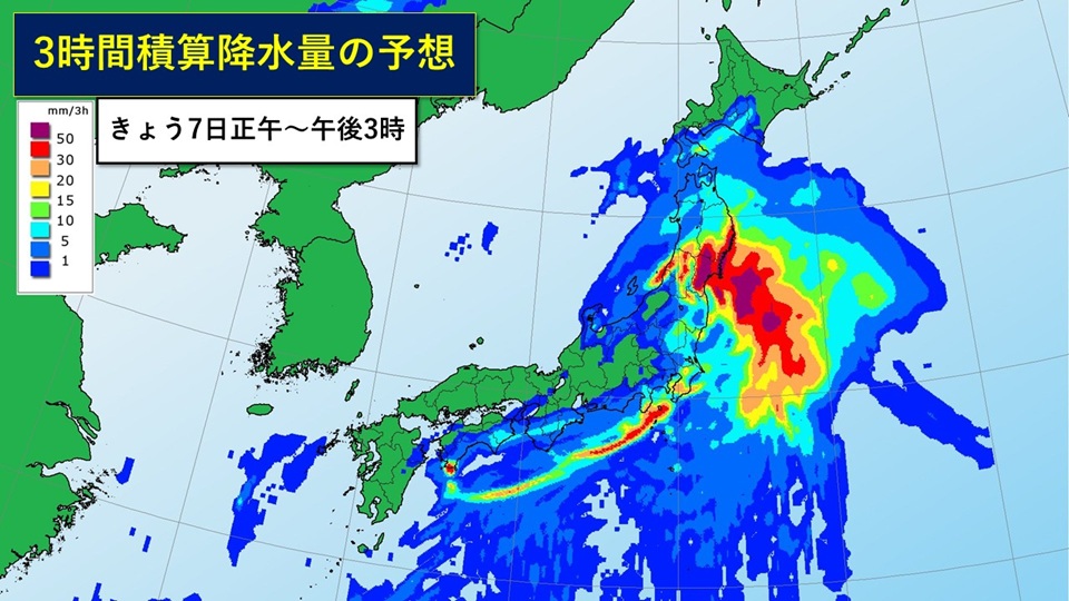 �摜