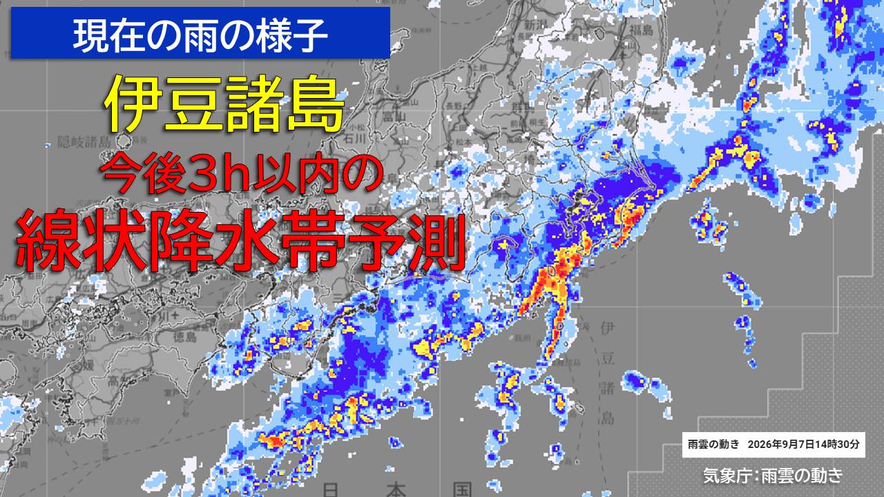 トップページ
