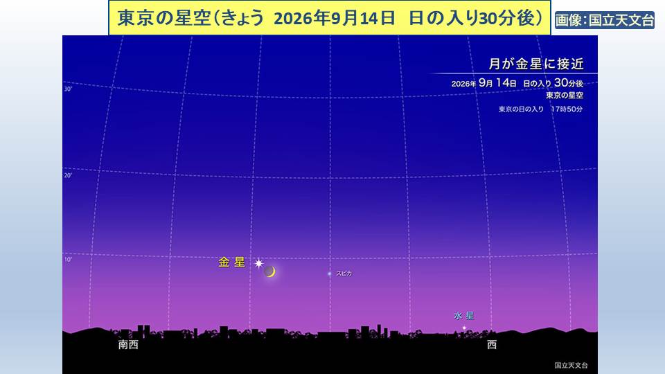 TOPICS�摜
