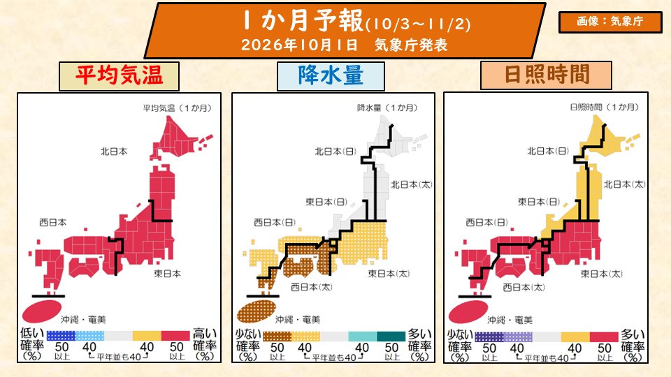 トップページ