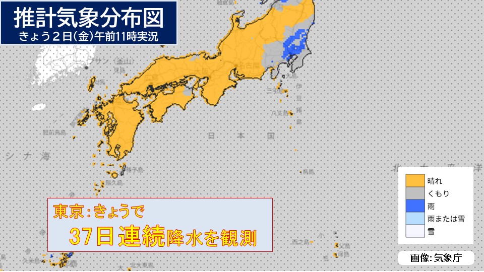 �摜