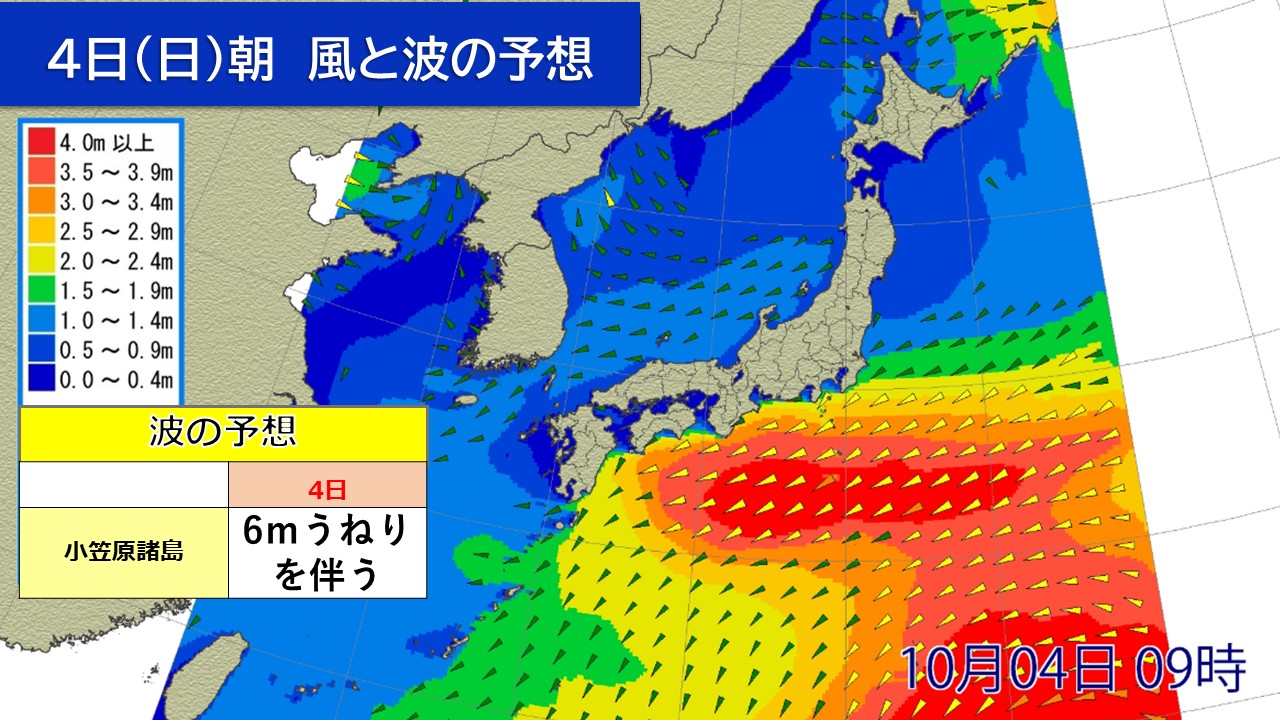 �摜