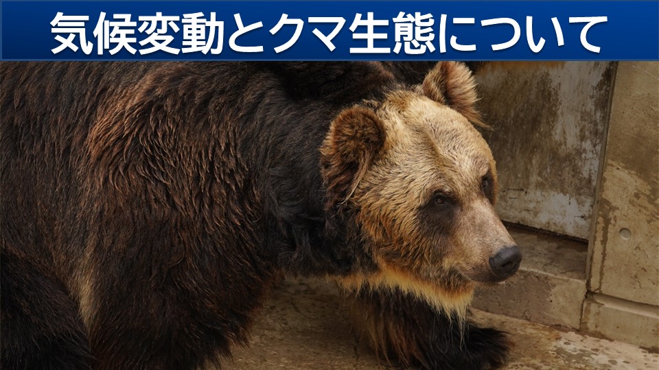 トップページ