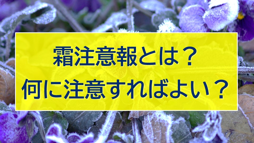 �g�b�v�y�[�W