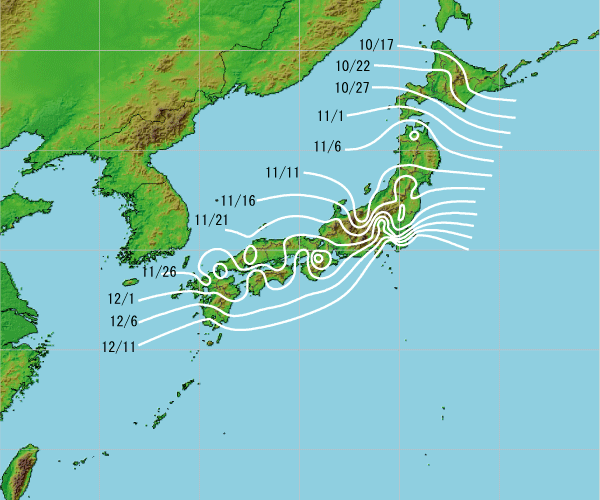 Sunny Spot 天気 気象情報サイト